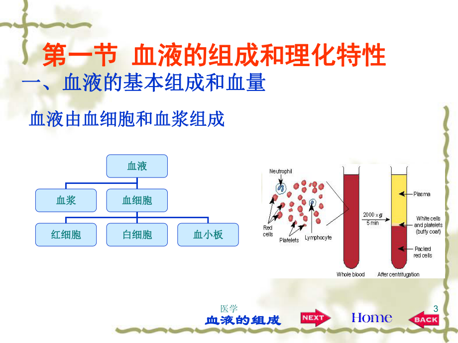 《生理学》血液.ppt_第3页