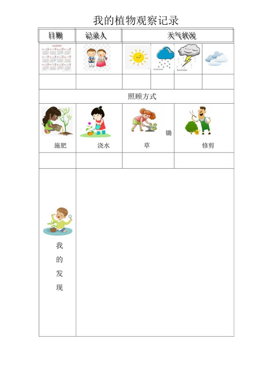 植物观察记录.docx_第1页