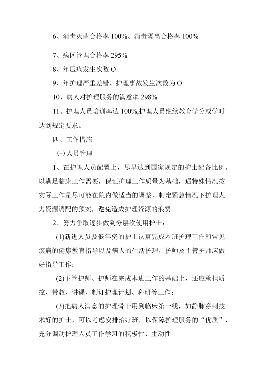 中医医院护理工作计划.docx_第2页