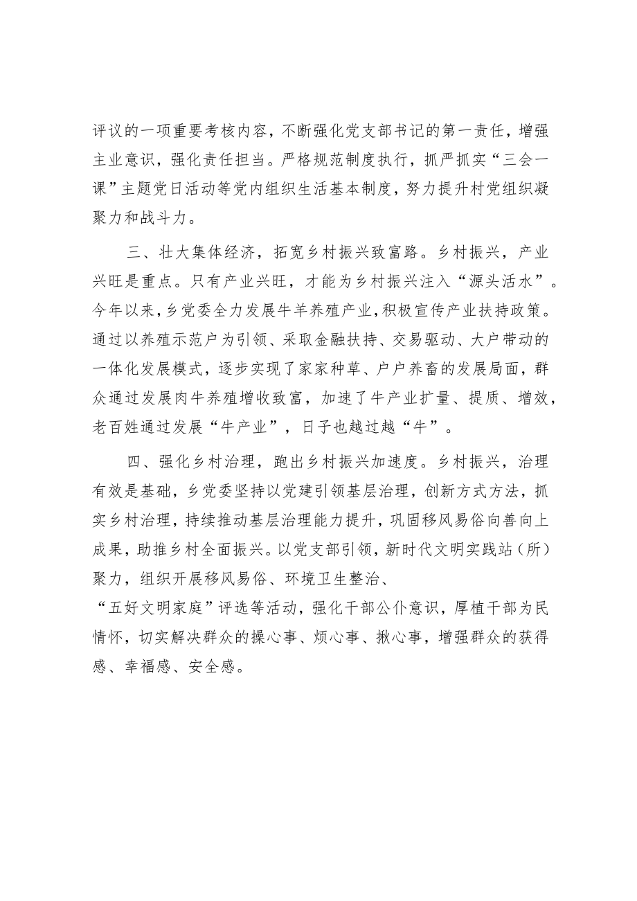 党建引领乡村振兴经验交流材料.docx_第2页