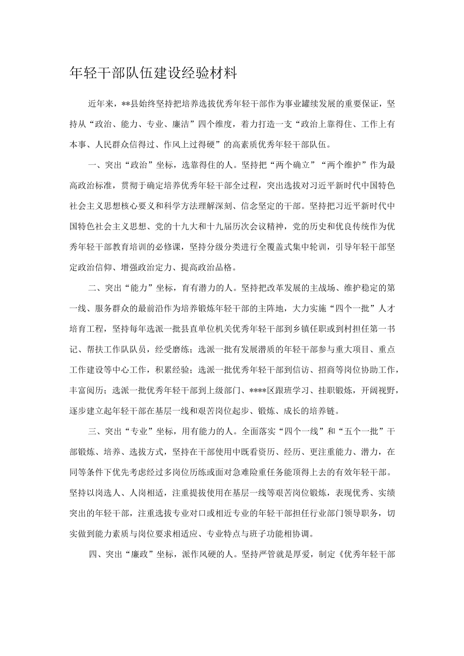 年轻干部队伍建设经验材料.docx_第1页