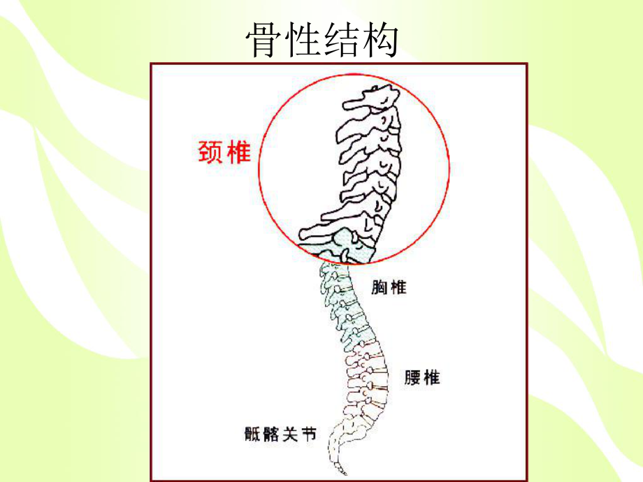 颈椎病的健康教育.ppt_第3页