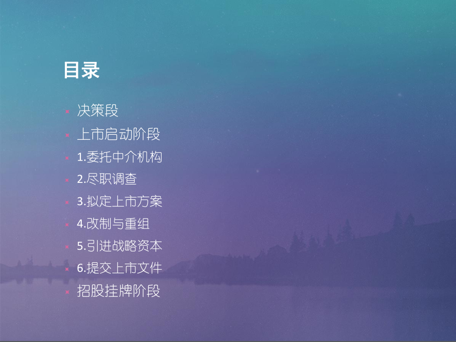 公司上市流程及条件(企业IPO).ppt_第2页