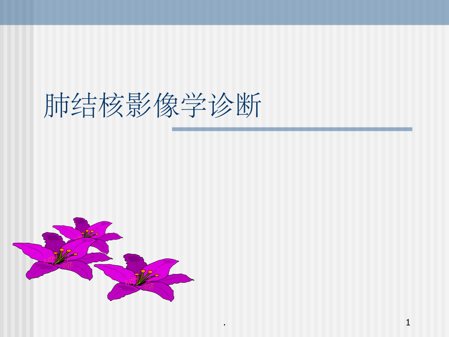 肺结核TB的影像学诊断.ppt_第1页