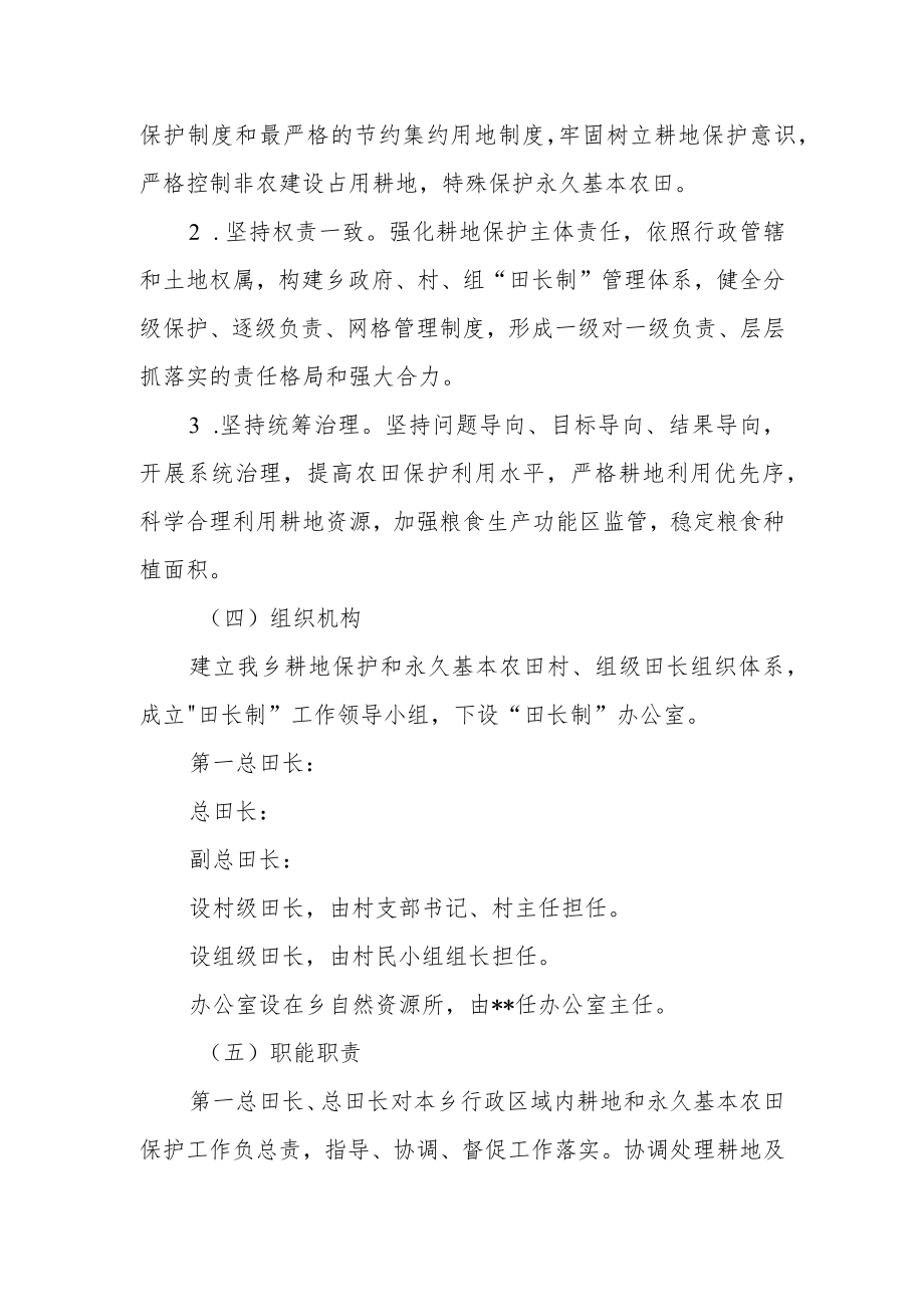 严格耕地保护全面推行田长制的实施方案.docx_第2页