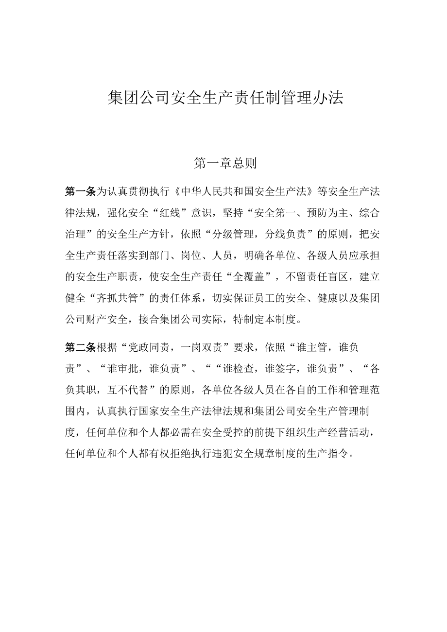 集团公司安全生产责任制管理办法.docx_第1页