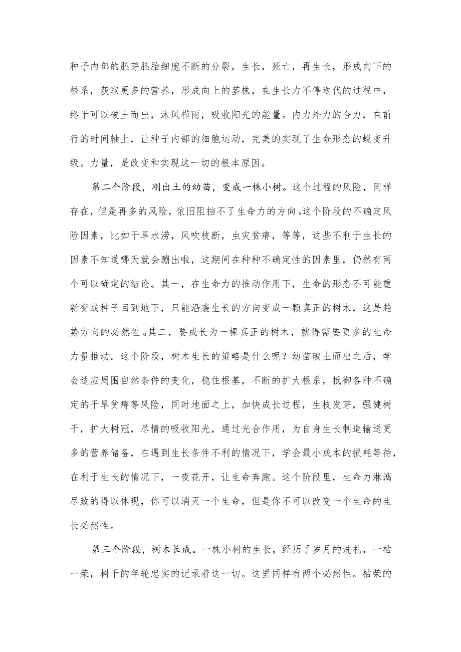 一粒种子走过的历程.docx_第2页