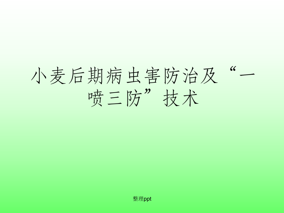 《小麦病虫害防治》.ppt_第1页