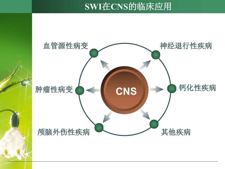 SWI的临床应用.ppt_第3页