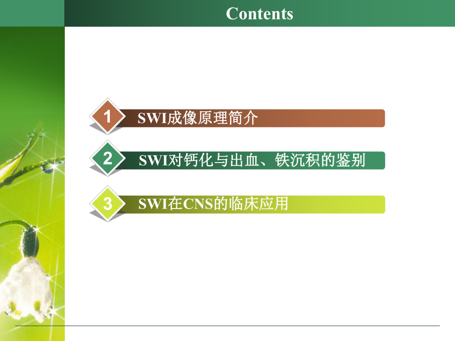 SWI的临床应用.ppt_第2页