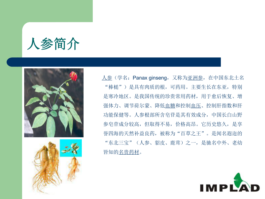 人参病虫害防治.ppt_第2页