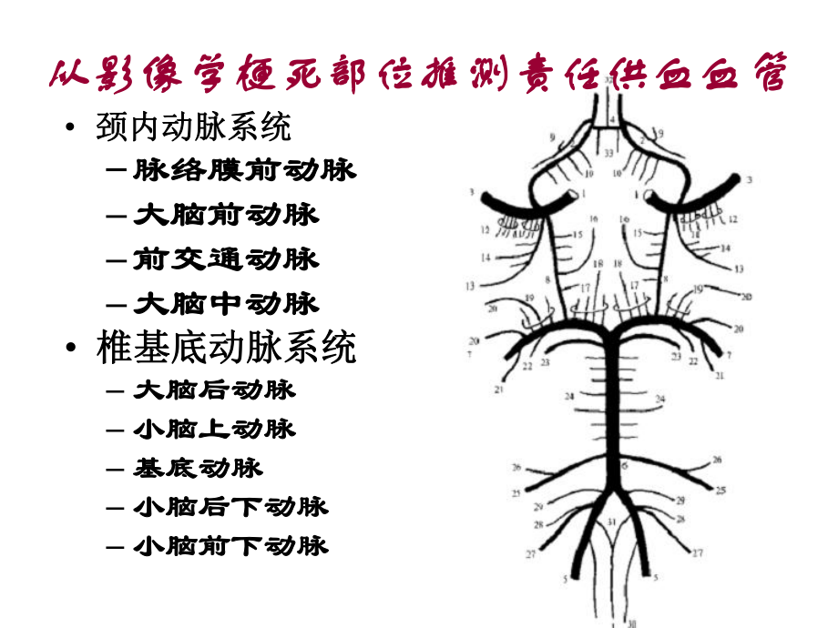 从影像学梗死部位推测责任供血血管.ppt_第2页