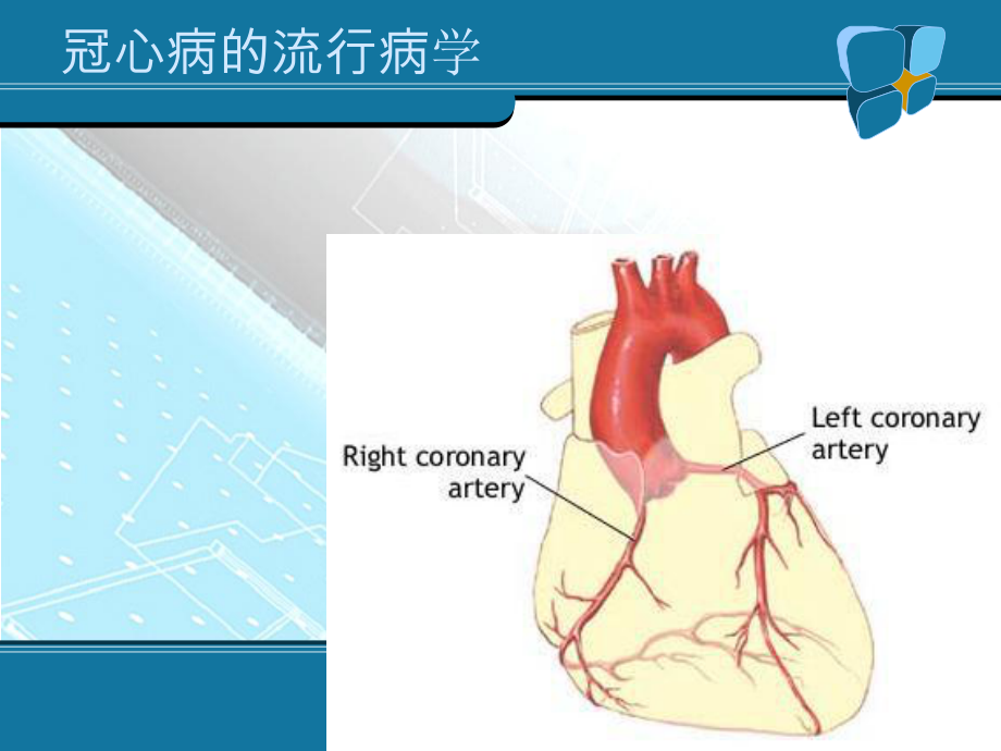 冠心病的康复治疗.ppt_第2页