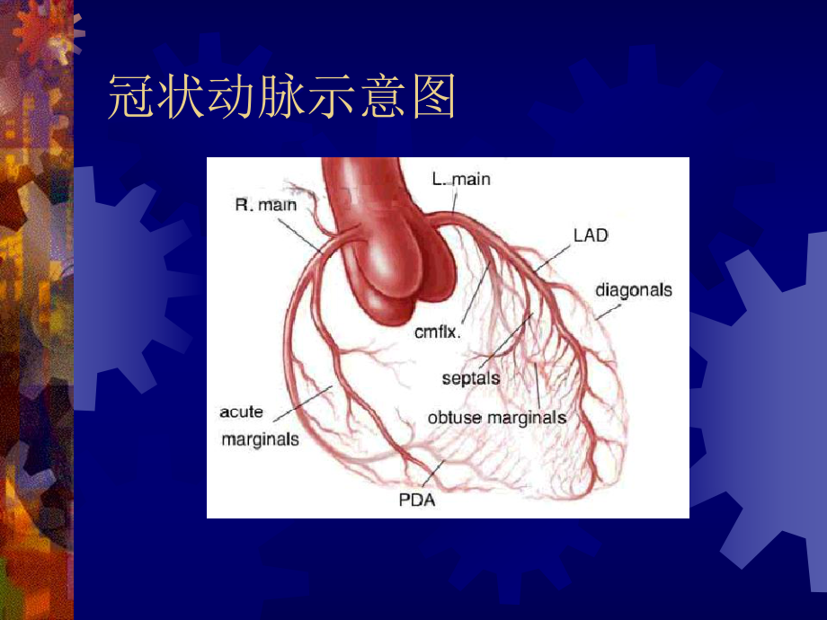 冠心病的外科治疗.ppt_第2页