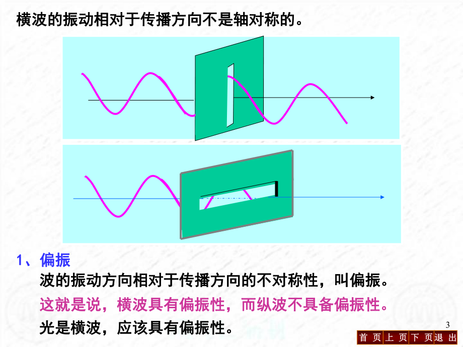 大学物理光的偏振.ppt_第3页