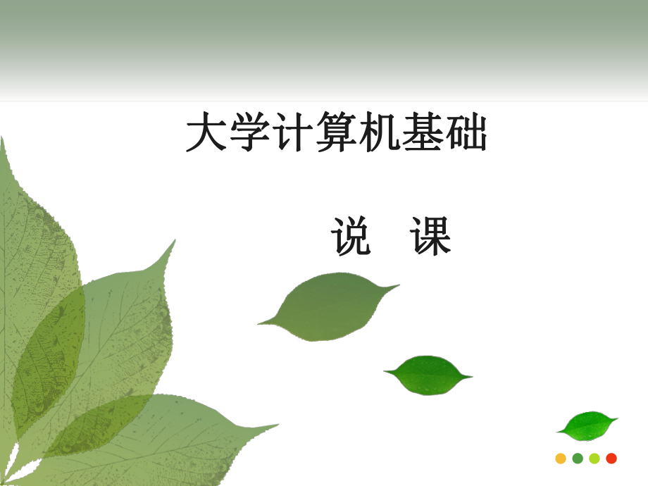 大学计算机基础说课.ppt_第1页