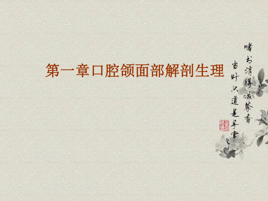 口腔解剖生理学.ppt_第2页