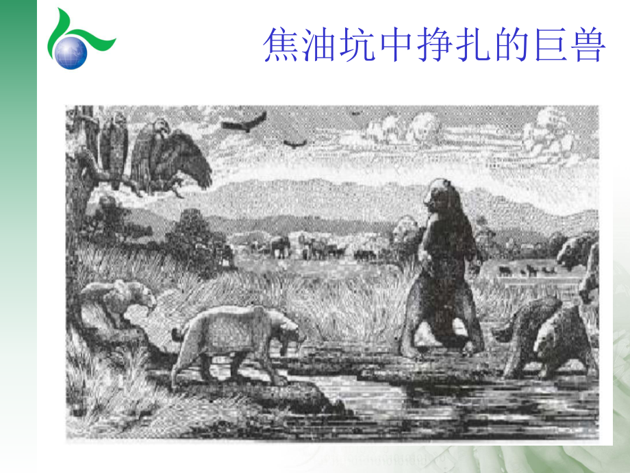 软件工程开发.ppt_第3页