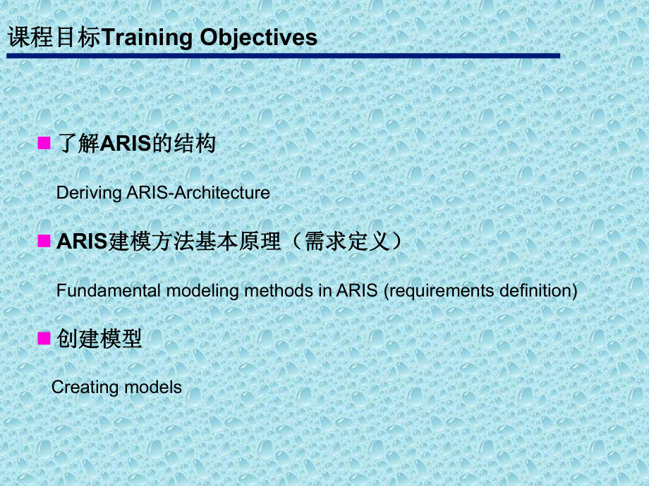 ARIS培训教程.ppt_第2页