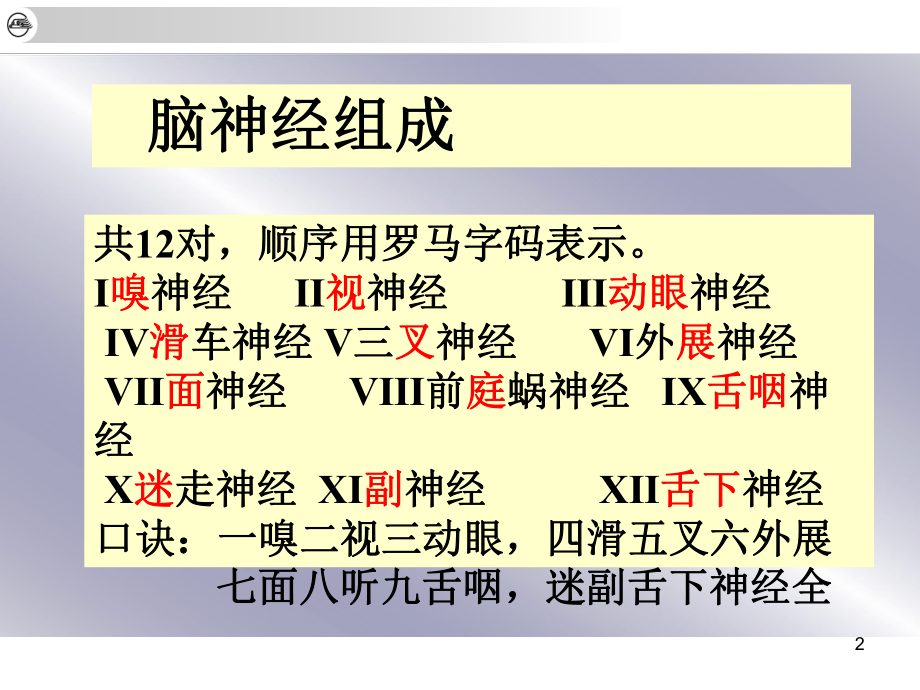 12对脑神经医学PPT课件.ppt_第2页