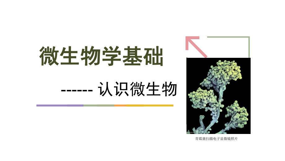 1.微生物概述.ppt_第1页