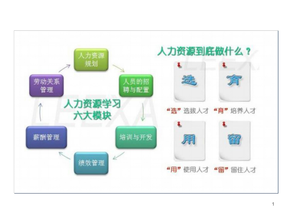 非人力资源主管的人力资源管理.ppt_第2页