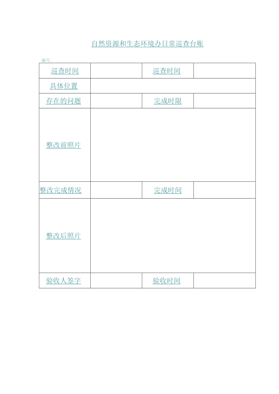 自然资源和生态环境办日常巡查台账.docx_第1页