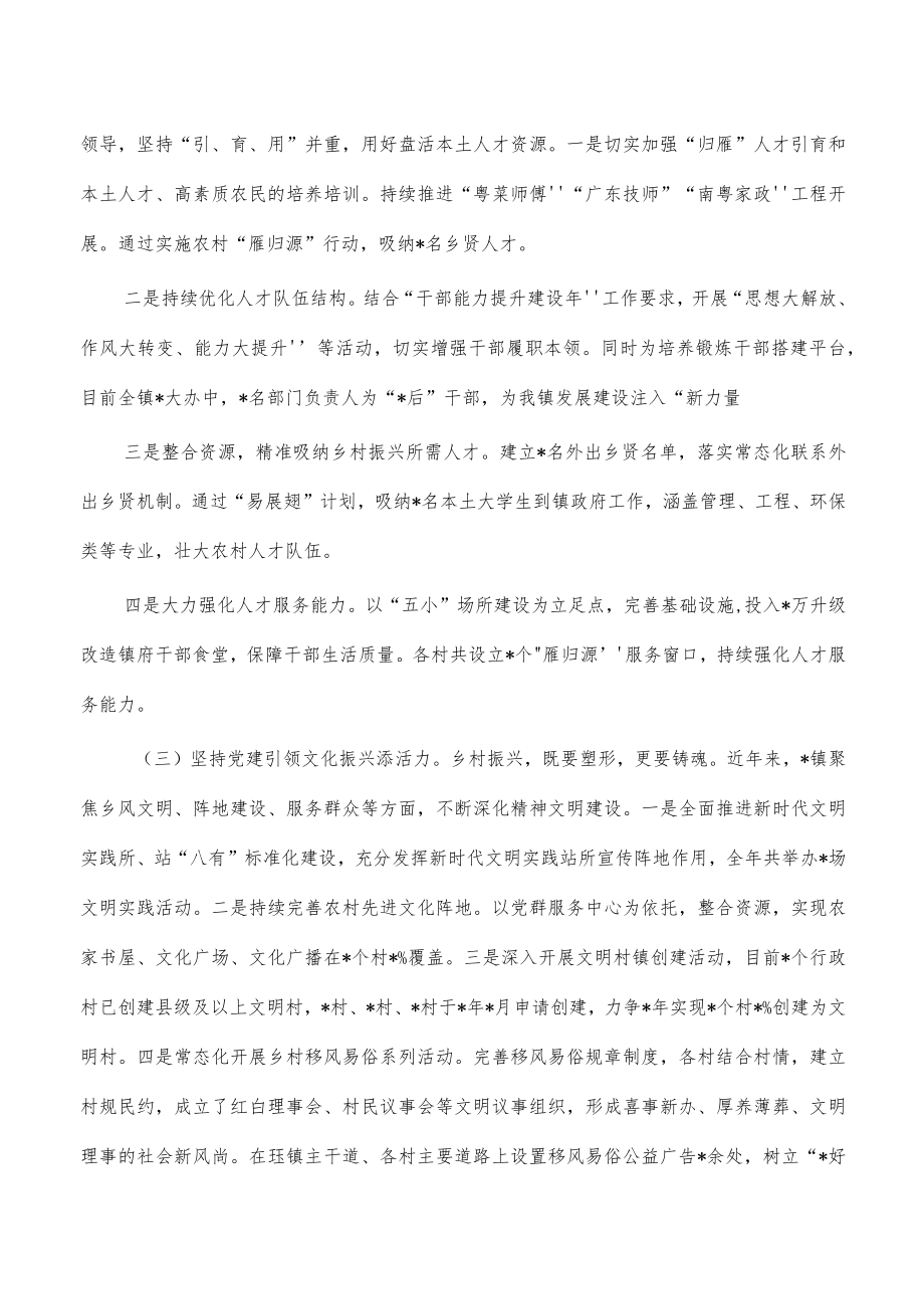 乡镇党建引领乡村振兴经验亮点.docx_第2页