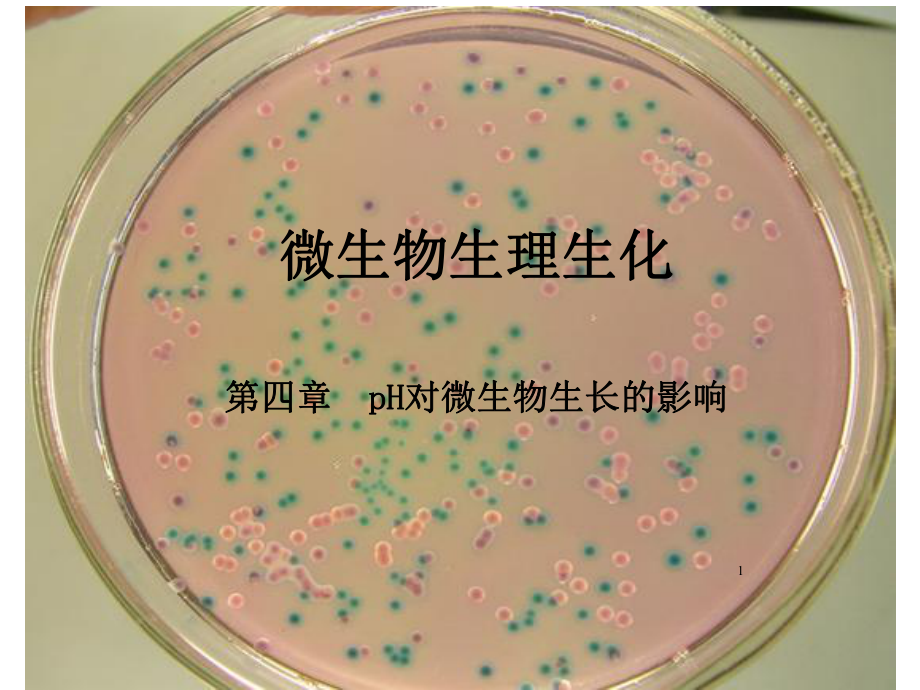 pH对微生物的影响.ppt_第1页