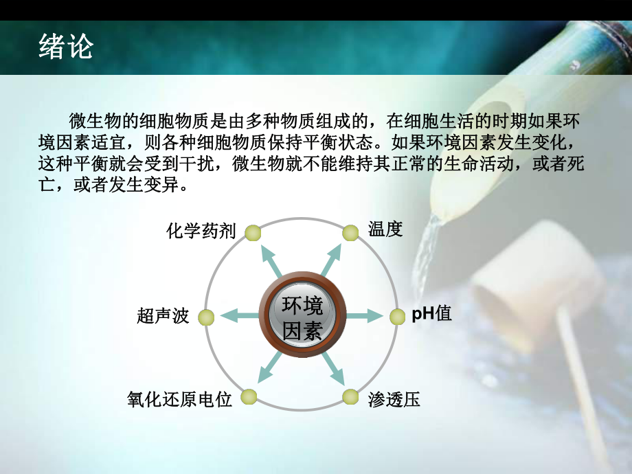 pH对微生物的影响.ppt_第2页