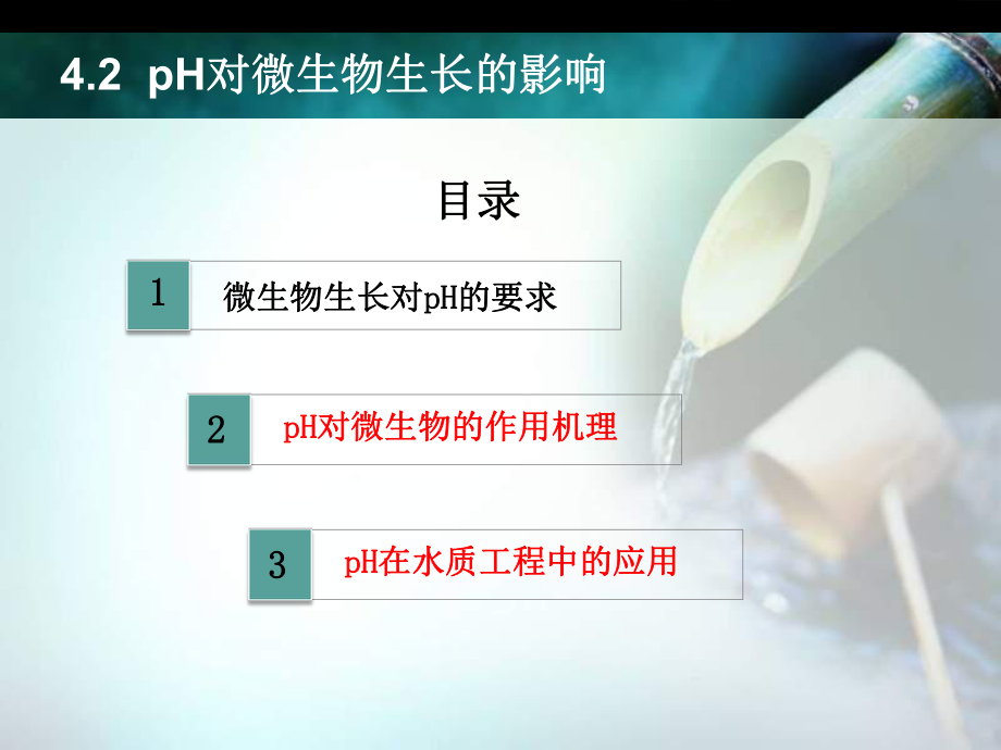 pH对微生物的影响.ppt_第3页