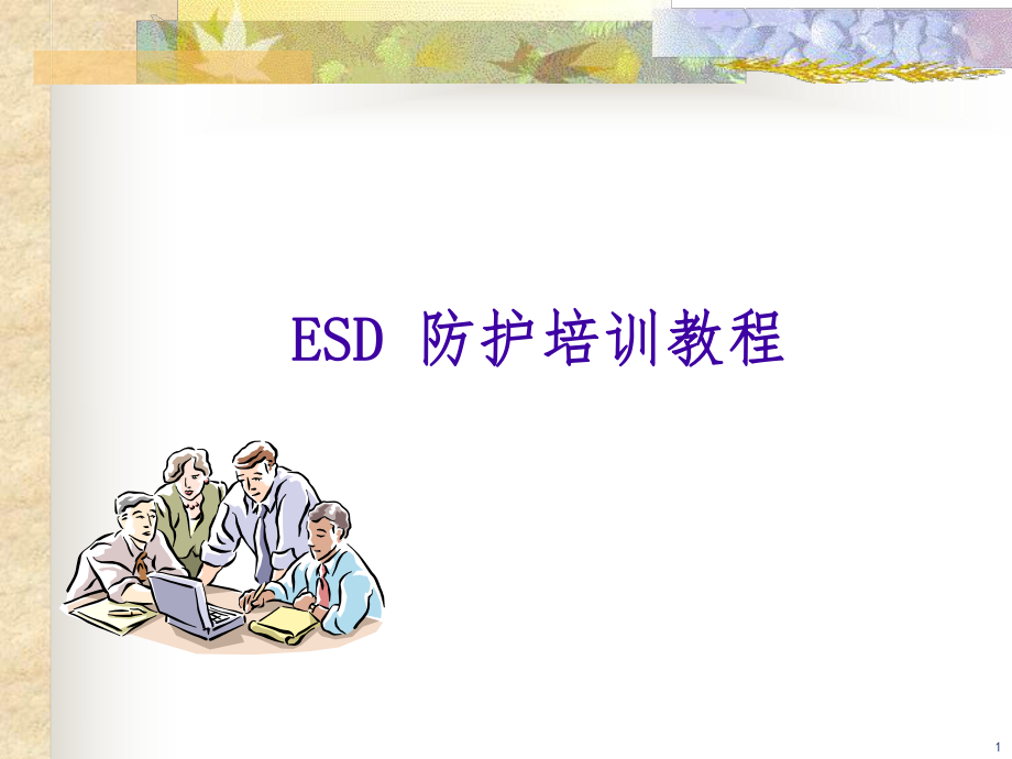 ESD防护培训教程.ppt_第1页