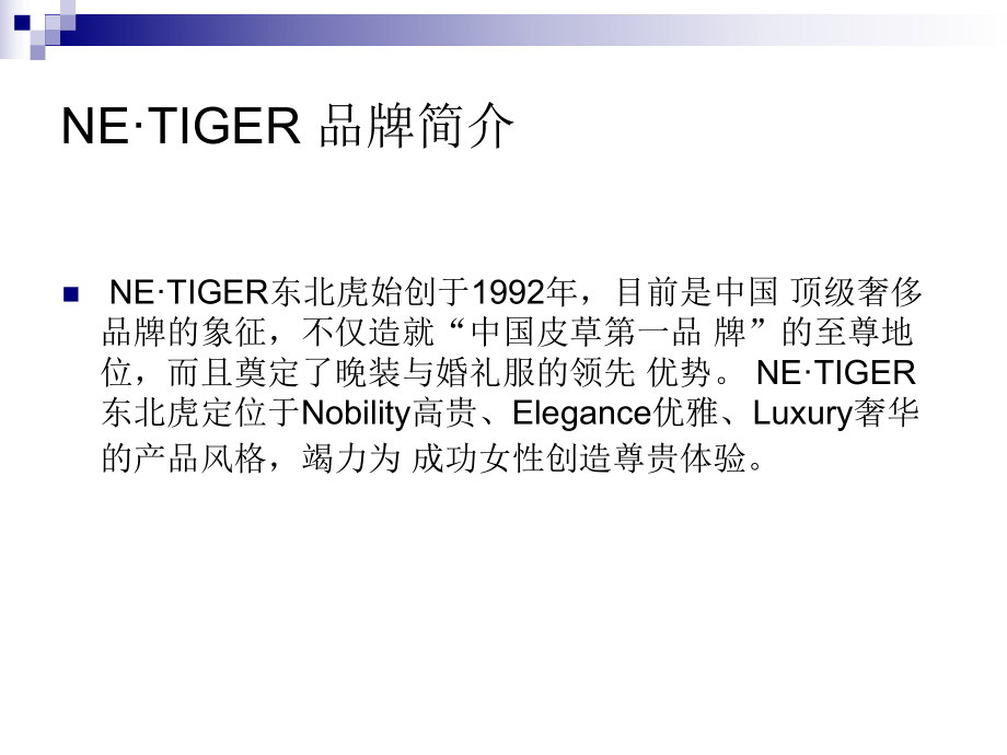 NE·TIGER调研报告.ppt_第2页