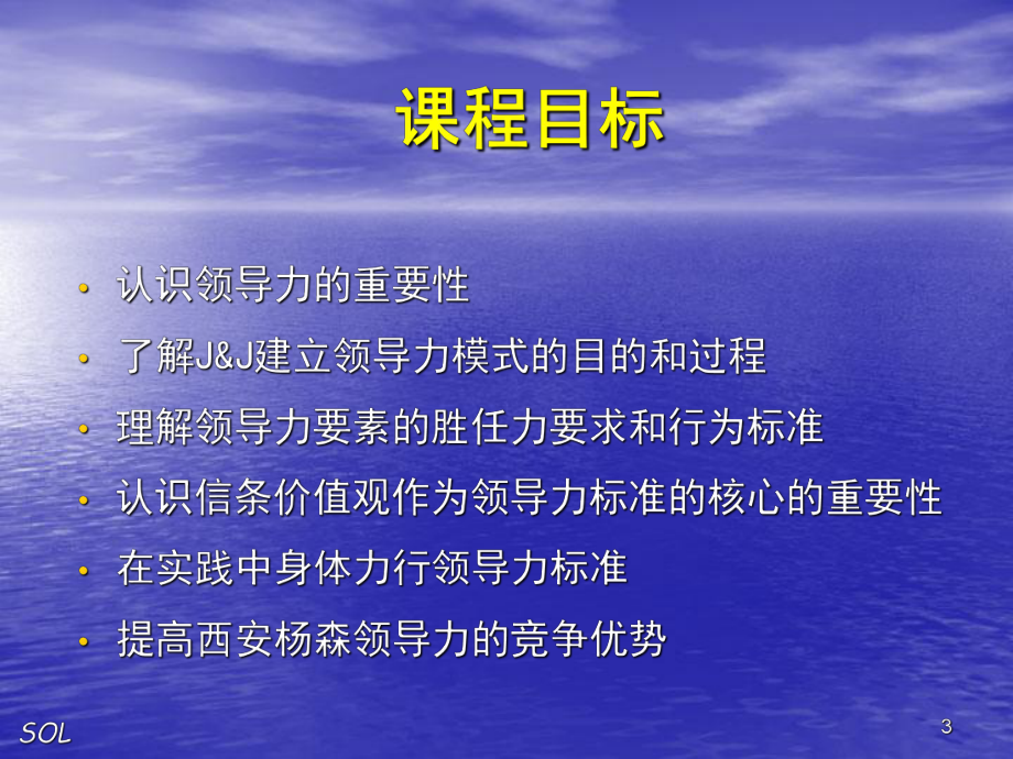 SOL领导力标准培训教程.ppt_第3页