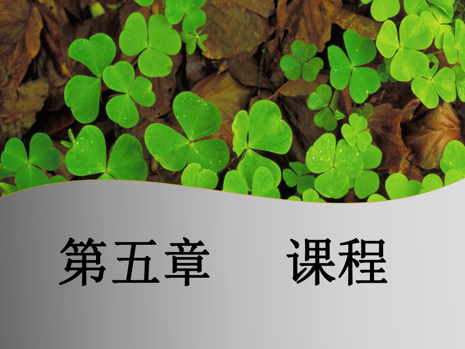 教育学课件课程.ppt_第1页