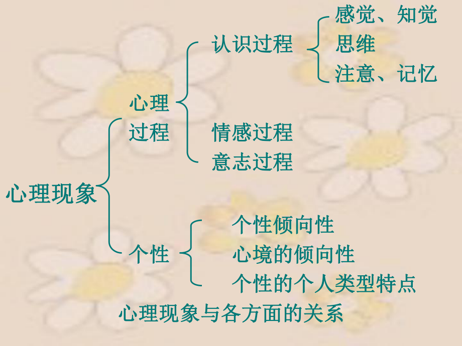 《护理心理学》心理学基础知识PPT.ppt_第2页