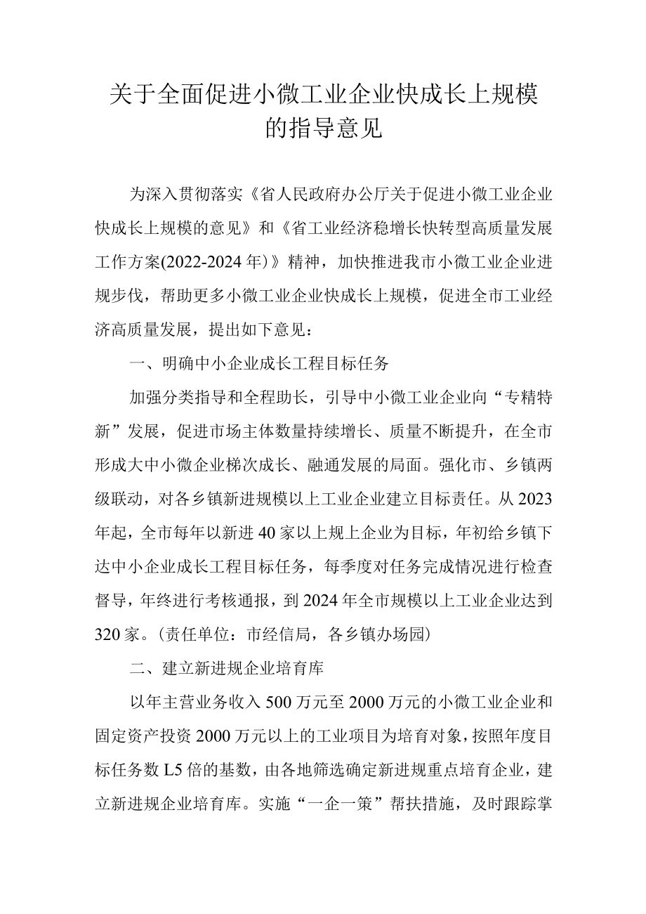 关于全面促进小微工业企业快成长上规模的指导意见.docx_第1页