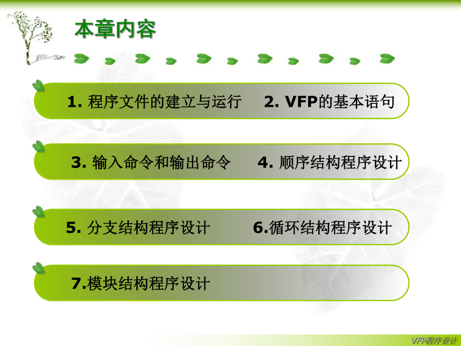 VFP结构化程序设计课件.ppt_第2页