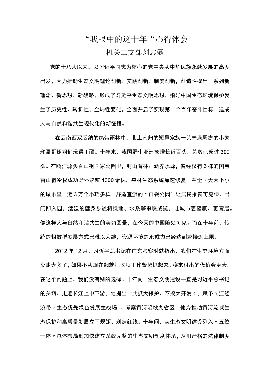 我眼中的这十年-刘志磊.docx_第1页