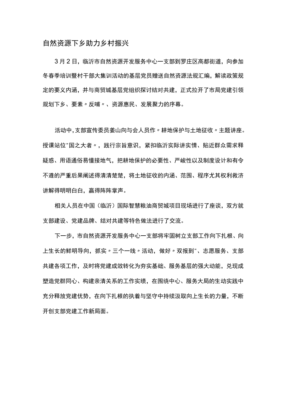 自然资源下乡 助力乡村振兴.docx_第1页