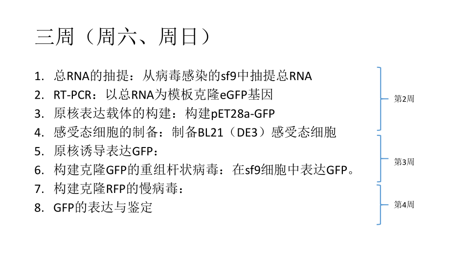 分子生物学实验.ppt_第3页