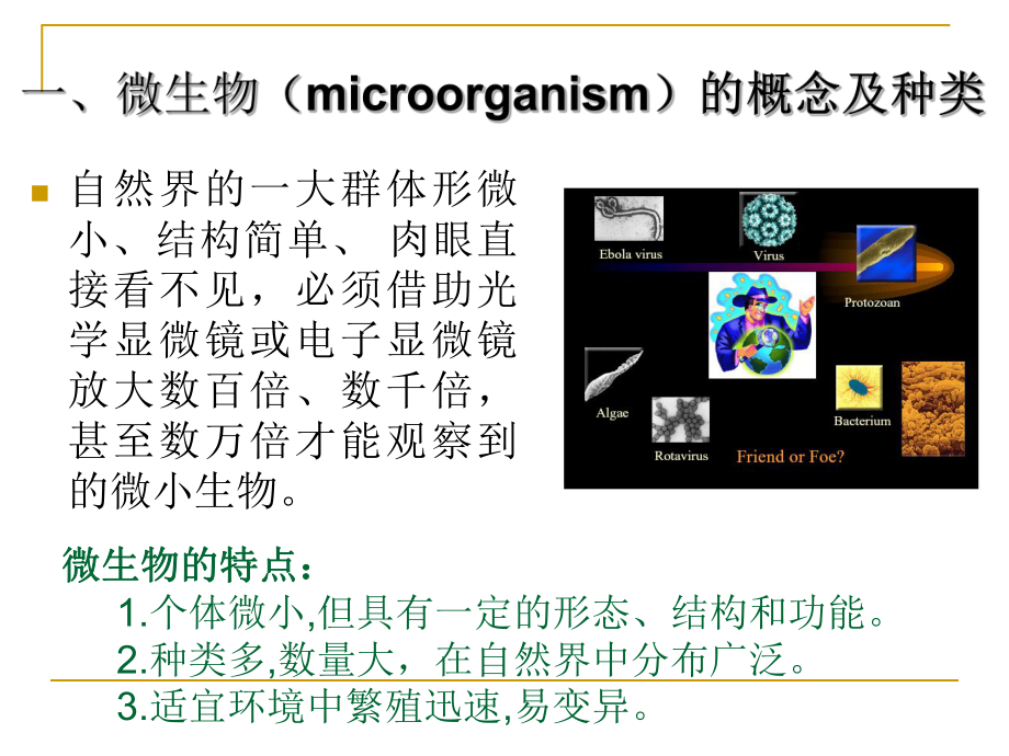 医学微生物概述.ppt_第2页