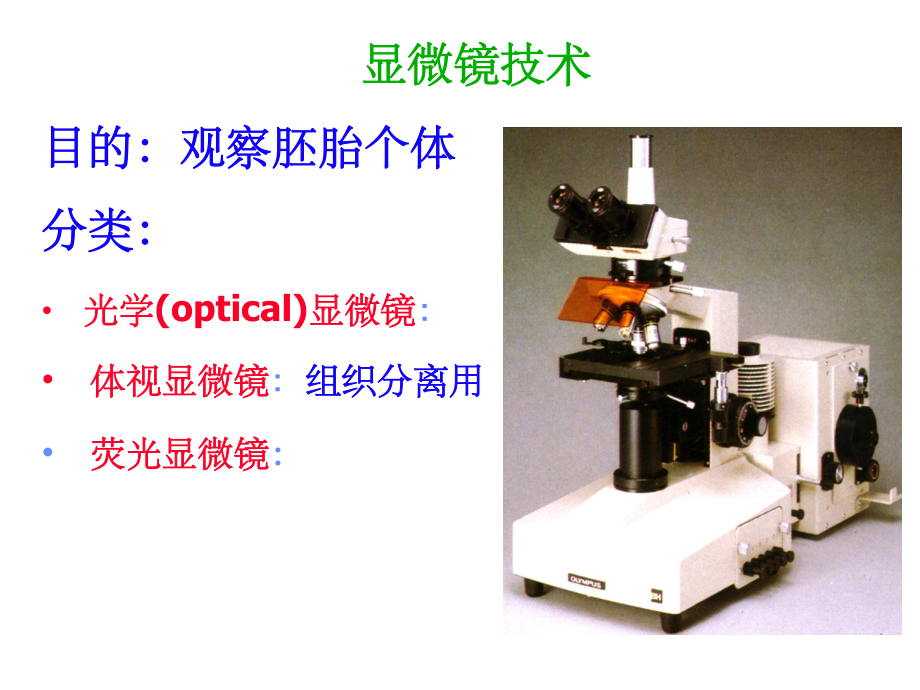 发育生物学——发育生物学研究技术.ppt_第3页