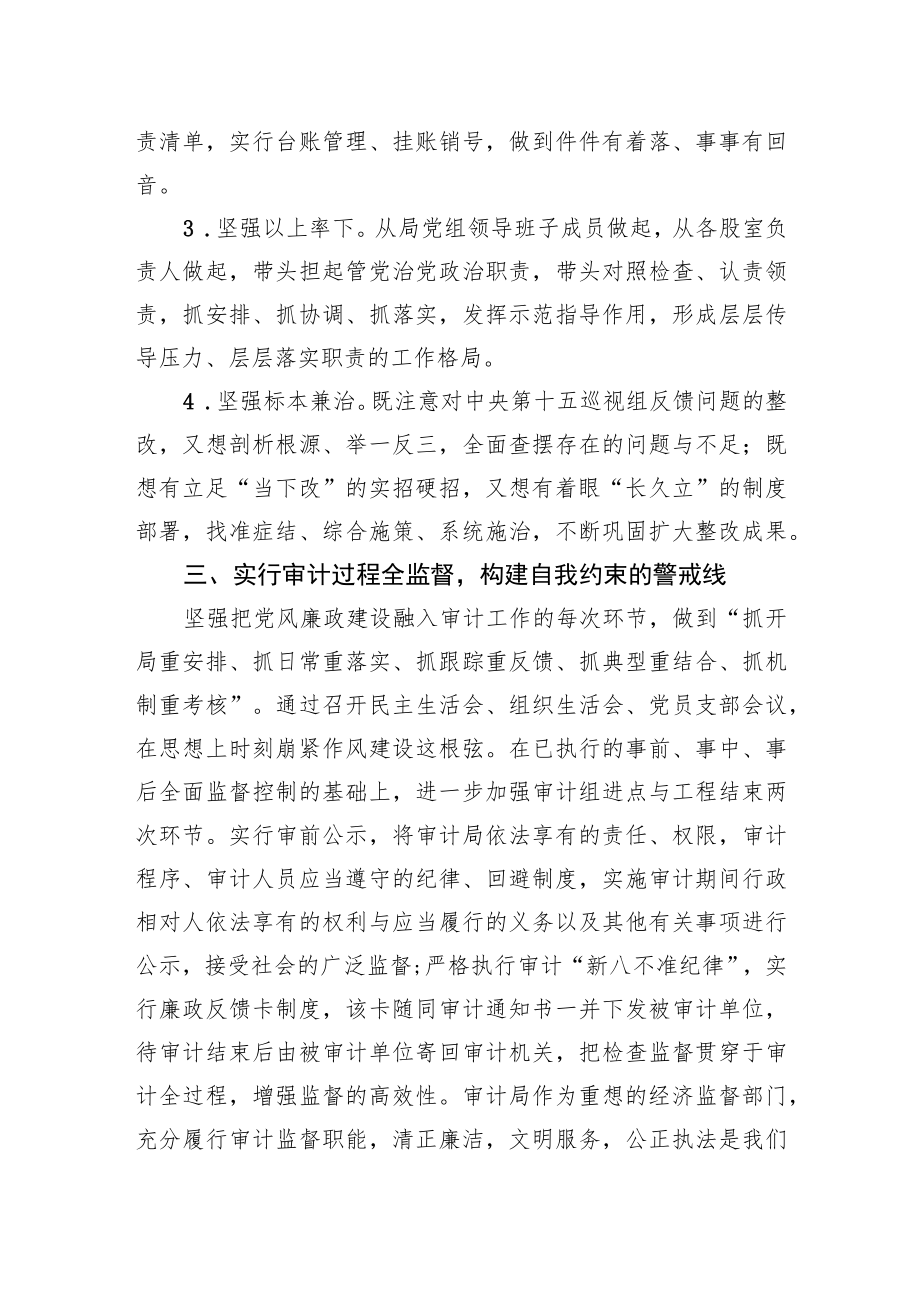 审计局全面从严治党党组主体职责落实不够到位问题专项整理情况汇报.docx_第3页