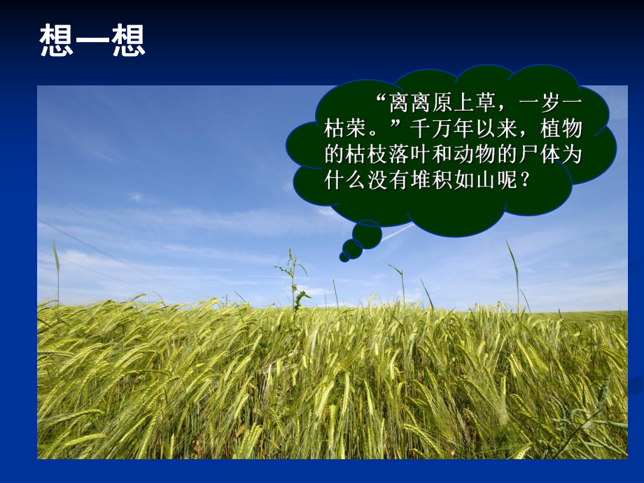 土壤中的微生物.ppt_第2页