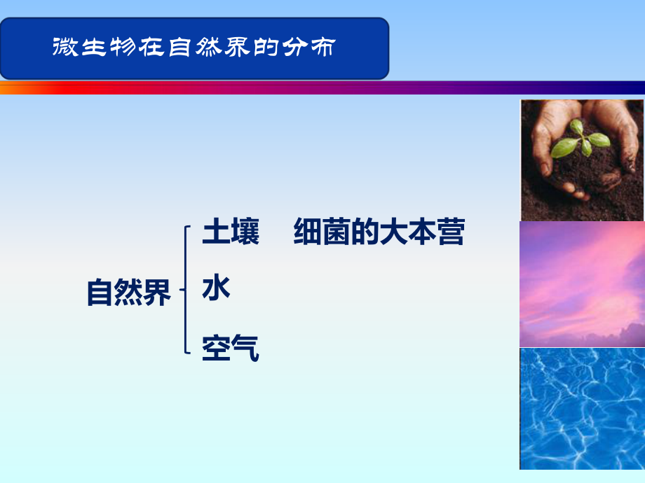 微生物的分布(精).ppt_第3页