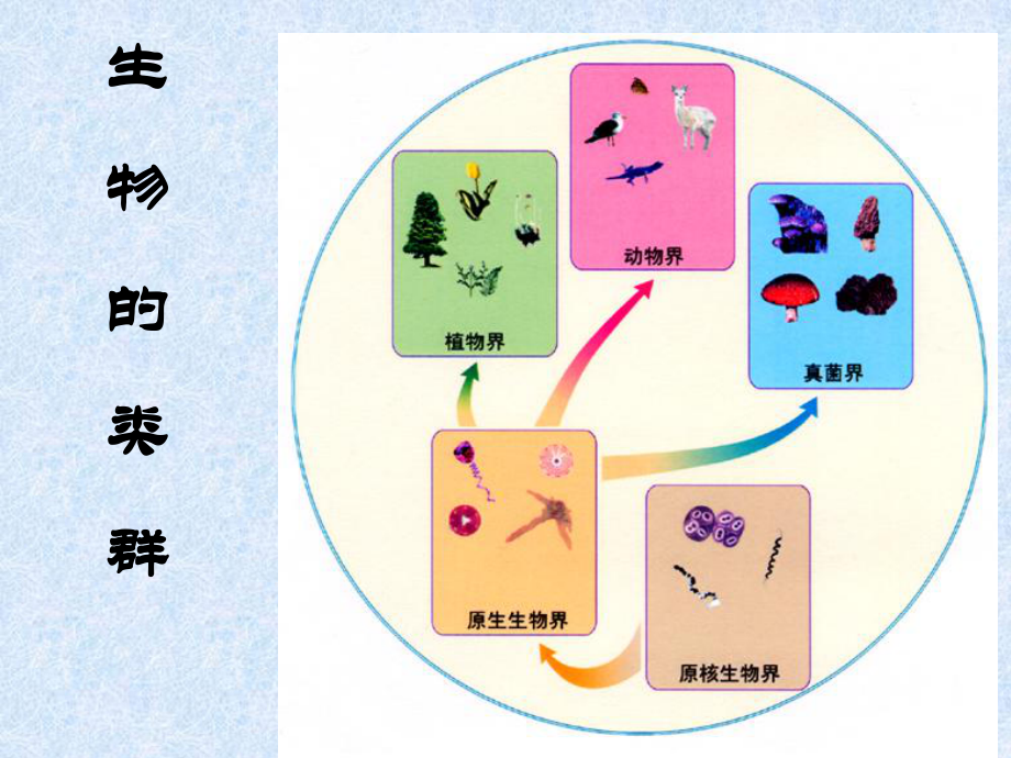 微生物的类型.ppt_第2页