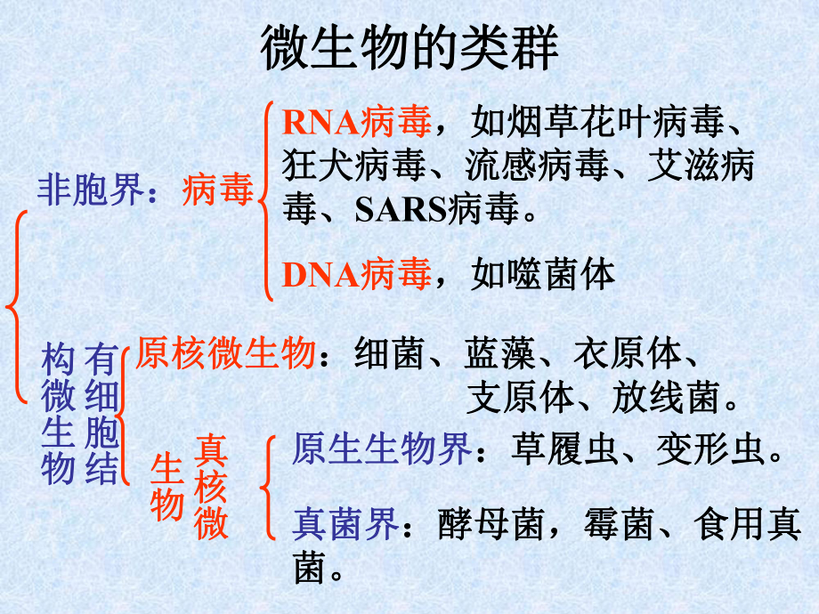 微生物的类型.ppt_第3页