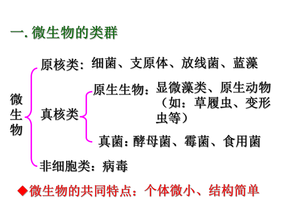 微生物的实验室培养公开课.ppt_第3页