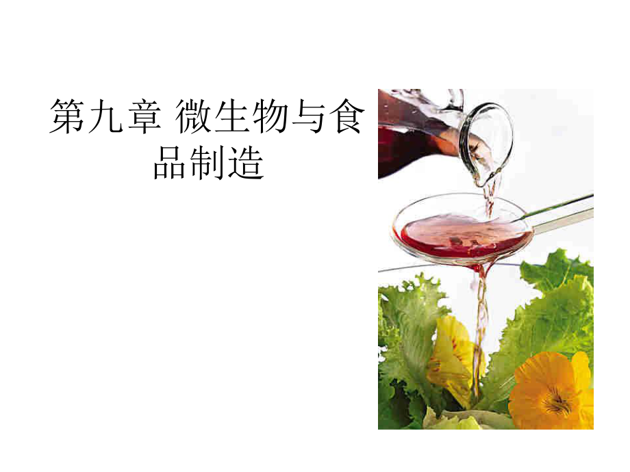 微生物与食品制造.ppt_第1页